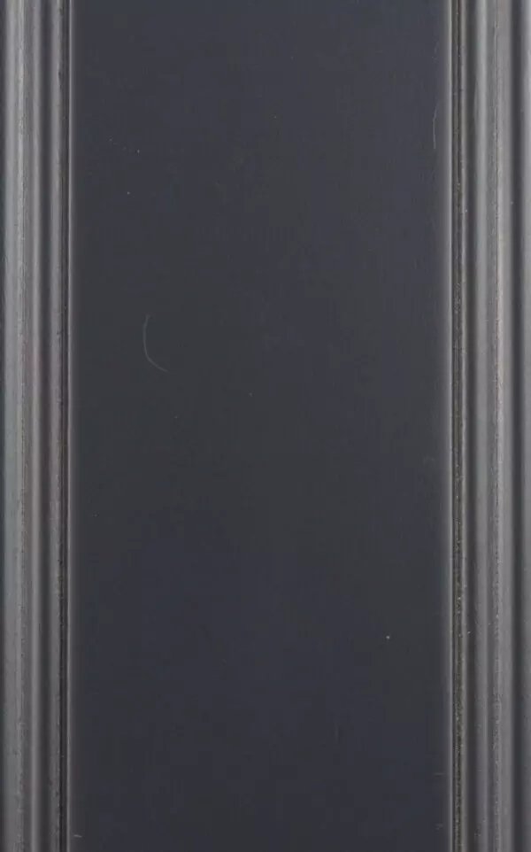 Savannah Beyond Midnight - Wellborn Forest